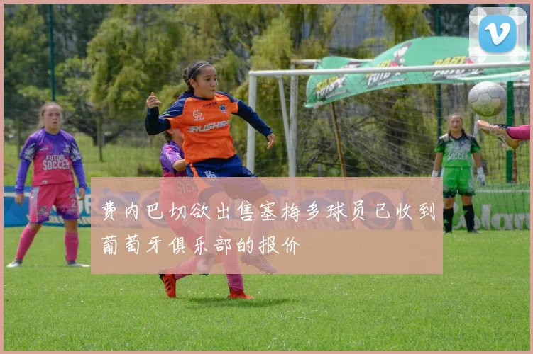 费内巴切欲出售塞梅多球员已收到葡萄牙俱乐部的报价